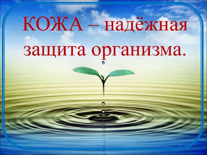 КОЖА – надёжная защита организма.