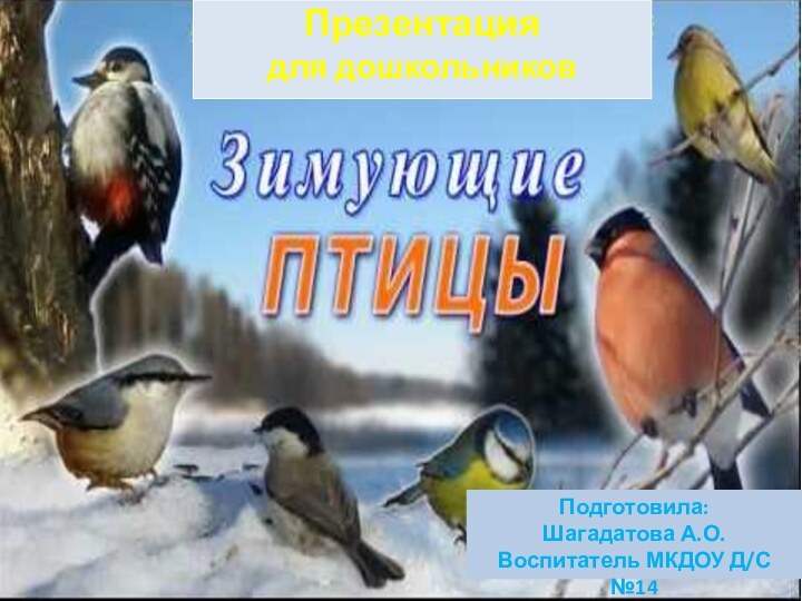 Презентациядля дошкольниковПодготовила:Шагадатова А.О.Воспитатель МКДОУ Д/С №14