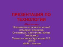 Презентация к уроку по технологии Пингвины презентация к уроку по технологии (4 класс)