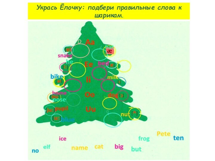 Укрась Ёлочку: подбери правильные слова к шарикам.