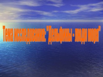 Окружающий мир Дельфины