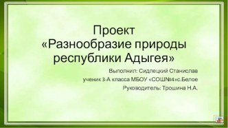 ПроектРазнообразие природы республики Адыгея презентация к уроку по окружающему миру (3 класс)