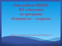 Опыт работы по программе  Говори по-татарски материал