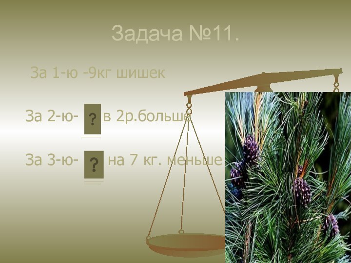 Задача №11. За 1-ю -9кг шишек  За 2-ю-   в