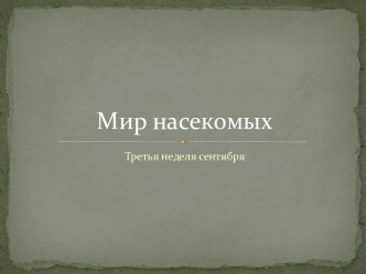 мир насекомых материал (старшая группа)