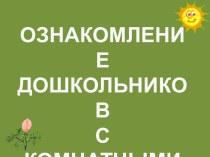 ОЗНАКОМЛЕНИЕ ДОШКОЛЬНИКОВ С КОМНАТНЫМИ РАСТЕНИЯМИ. презентация по окружающему миру