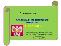 Бабочка - аппликация из природного материала. презентация к уроку по теме