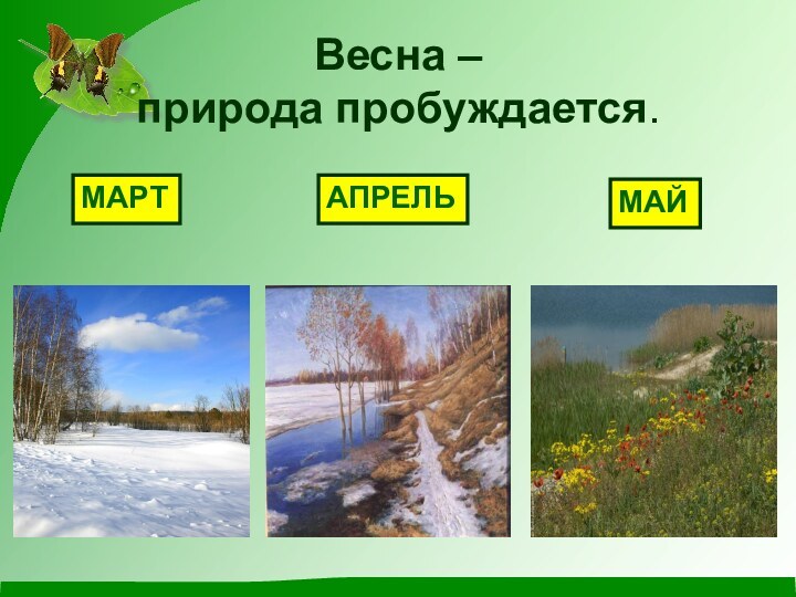 Весна –  природа пробуждается.МАРТАПРЕЛЬМАЙ