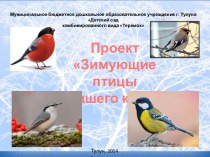 Презентация проекта Зимующие птицы нашего края для детей старшего дошкольного возраста проект по окружающему миру (старшая группа)