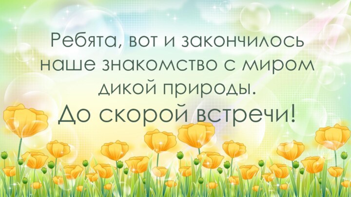 Ребята, вот и закончилось наше знакомство с миром дикой природы.До скорой встречи!