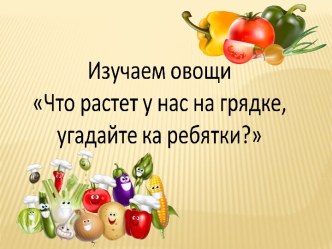 Презентация Изучаем овощи презентация к уроку по окружающему миру (средняя группа)