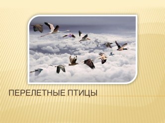 Презентация Перелетные птицы презентация по окружающему миру