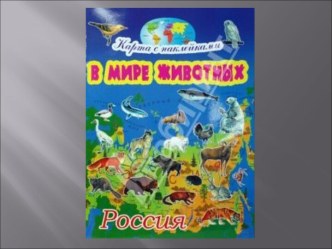 В мире животных (презентация) презентация к уроку по окружающему миру (1 класс)