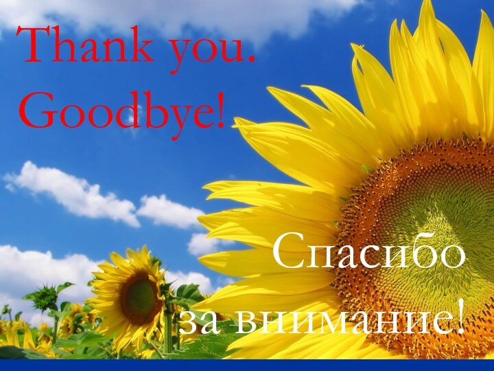 Thank you.  Goodbye! Спасибо  за внимание!