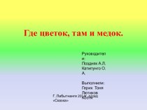 проект Где цветок, там медок проект (подготовительная группа) по теме