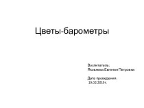 Презентация Цветы - барометры презентация к уроку по окружающему миру (старшая группа)