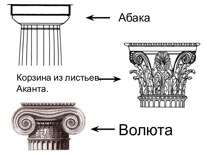 ВолютаКорзина из листьев. Аканта.Абака