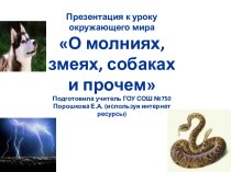 О молниях, змеях и собаках и прочем... презентация к уроку по окружающему миру (3 класс) по теме
