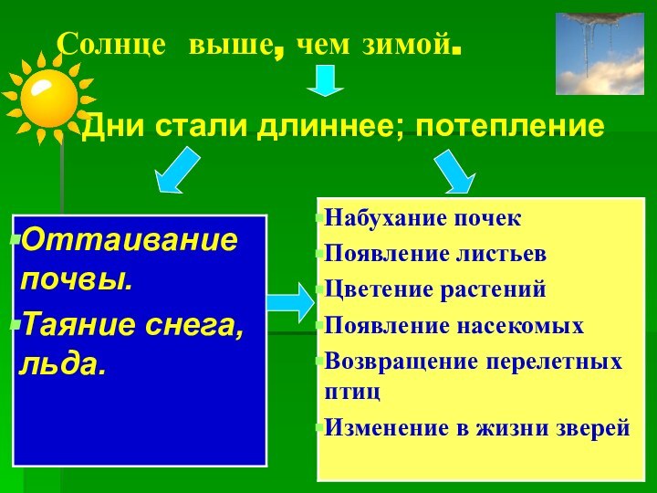 Солнце выше, чем зимой.Дни стали длиннее; потепление