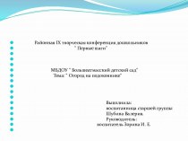 Презентация по экспериментальной деятельности детей в подготовительной группе по теме: Огород на подоконнике презентация