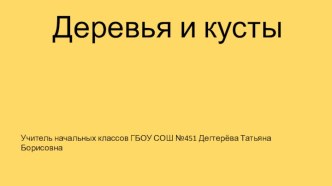 Содержание: иллюстрации деревьев: деревья, цветы, плоды, семена