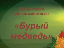 Бурый медведь презентация к уроку по окружающему миру (младшая группа)