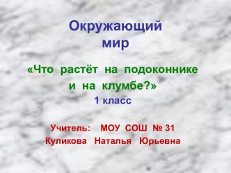 Что растет на подоконнике и на клумбе ?, 1 класс презентация к уроку (окружающий мир, 1 класс) по теме