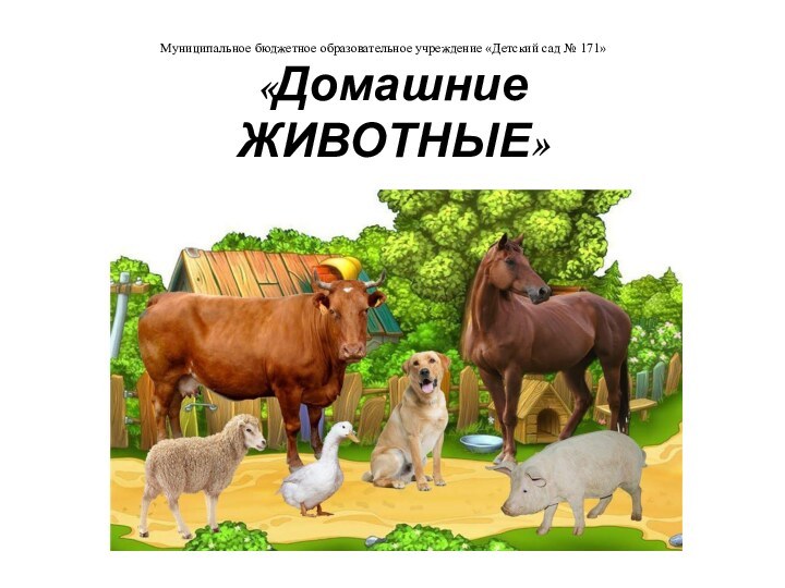 «Домашние  ЖИВОТНЫЕ»Муниципальное бюджетное образовательное учреждение «Детский сад № 171»