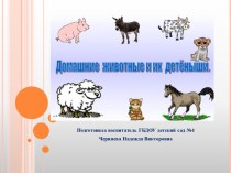 Домашние животные и их детеныши презентация к уроку по окружающему миру (младшая группа)