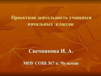 Мастер класс Поектная деятельность обучающихся проект (2 класс)