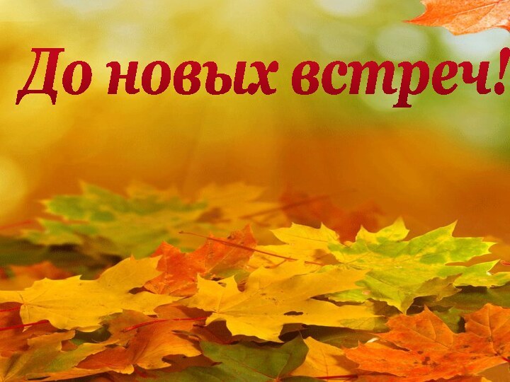 До новых встреч!