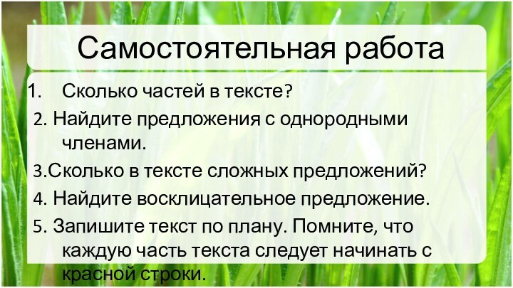 Самостоятельная работаСколько частей в тексте?2. Найдите предложения с однородными членами. 3.Сколько в