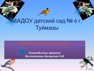 Проект  Птицы зимой методическая разработка по окружающему миру (младшая группа)