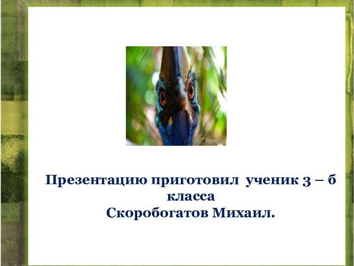 Презентацию приготовил ученик 3 – б класса Скоробогатов Михаил.