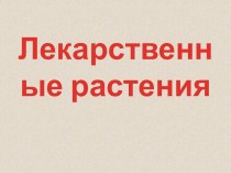 презентация Лекарственные растения презентация к уроку