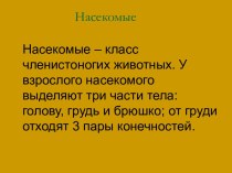 Презентация Насекомые презентация урока для интерактивной доски по окружающему миру