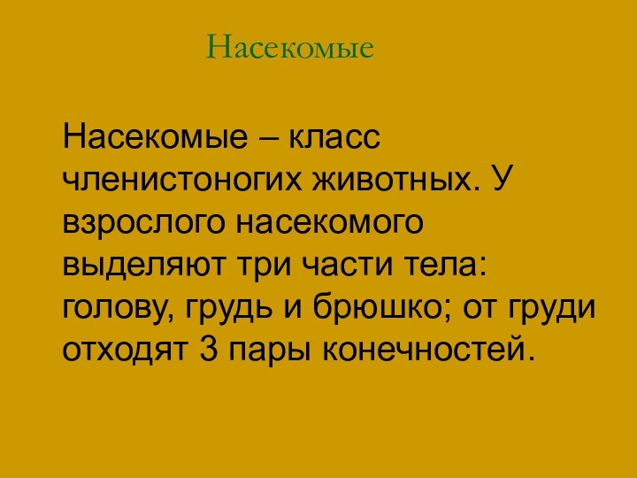 НасекомыеНасекомые – класс