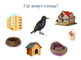 Для расширения представлений о весне, о птицах весной и воспитания бережного отношения к птицам мы осваивали тему Встречаем птиц. материал (младшая группа)
