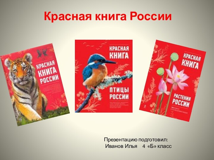 Красная книга РоссииПрезентацию подготовил: Иванов Илья  4 «Б» класс