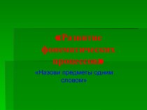 Развитие фонематических процессов у детей в старших - подготовительных логопедических группах методическая разработка (старшая группа) по теме