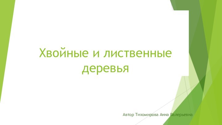 Хвойные и лиственные деревьяАвтор Тихомирова Анна Валерьевна