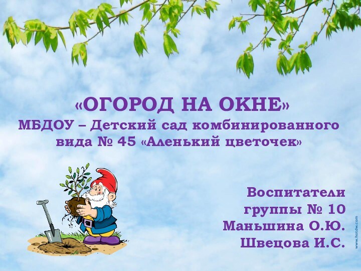 «ОГОРОД НА ОКНЕ»МБДОУ – Детский сад комбинированного вида № 45 «Аленький