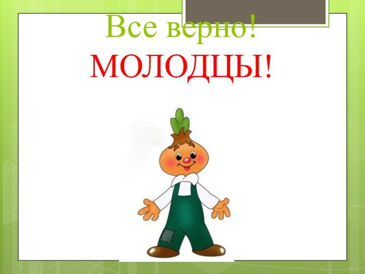 Все верно!  МОЛОДЦЫ!