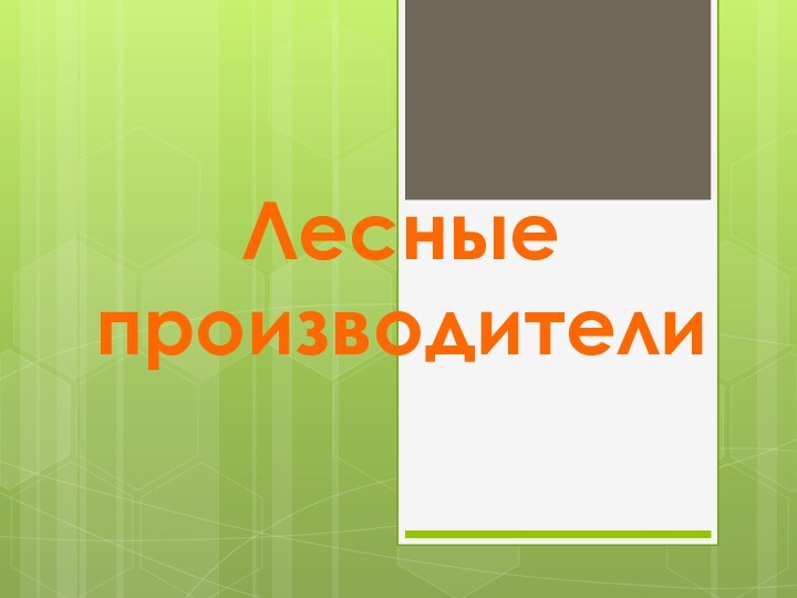 Лесные производители