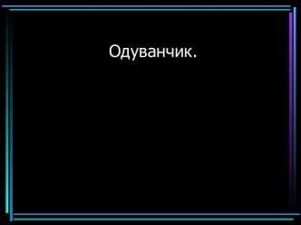 Одуванчик презентация к уроку по окружающему миру (средняя группа)