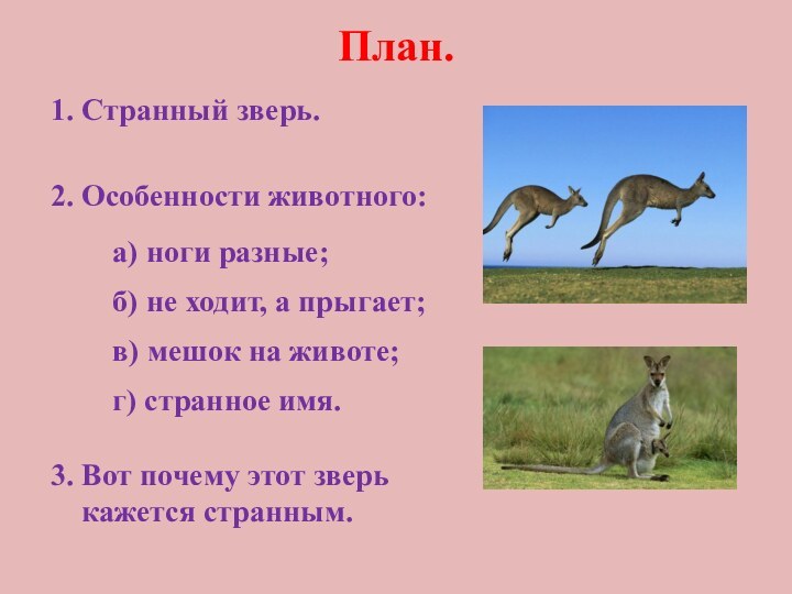 План.1. Странный зверь.2. Особенности животного:а) ноги разные;б) не ходит, а прыгает;в) мешок