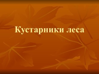 презентация Кустарники леса к уроку окружающего мира во 2 классе, программа 21 век презентация к уроку по окружающему миру (2 класс)