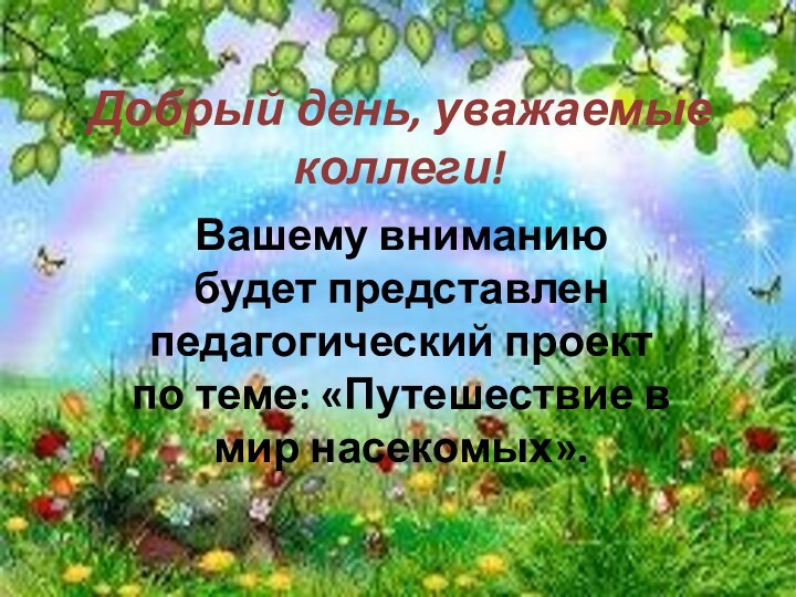 Добрый день, уважаемые коллеги!Вашему вниманию будет представлен педагогический проект по теме: «Путешествие в мир насекомых».