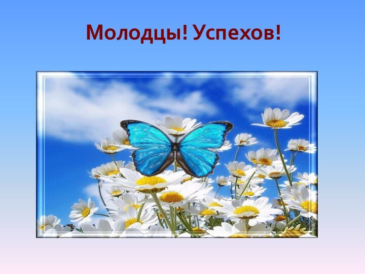 Молодцы! Успехов!