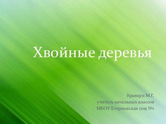 Хвойные деревья презентация к уроку по окружающему миру по теме